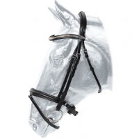 ������� Kentaur Griffin