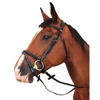 ������� Kentaur Tryon