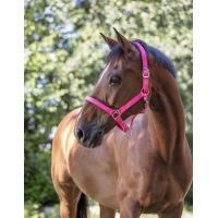 ��������� Norton Fluo