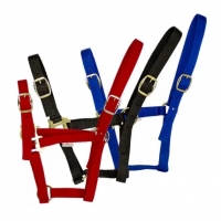 ��������� Equiman