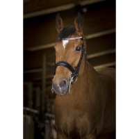 �������� ����������� Norton Princesse