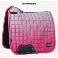 �������� ���������� LeMieux Spektrum