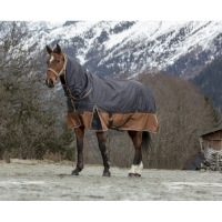 ������ ���������� ����������� Equi-Theme Aisens � ������� 600 Den 300��