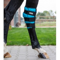 �������� �� ������������ ������ ����������� Waldhausen 1 ��