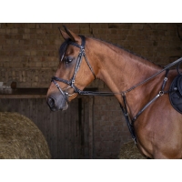 ��������� � ����������� Eric-Thomas Hybrid