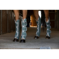 ������� ������������������ Equi-Theme TYREX 600 D 4��