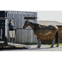 ��������������� ������� ��� �������� ������, Norton