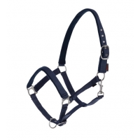 ��������� Covalliero Dexster