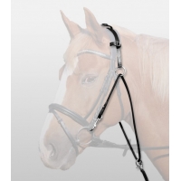 ������ ���� � �������, Waldhausen