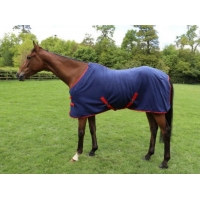 ������ ���� Celtic Equine