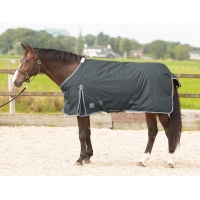 ������ ���������� ����������� Harrys Horse Thor 600 Den 200��