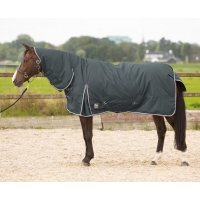 ������ ���������� ����������� Harrys Horse Thor � ������� 600 Den 200��