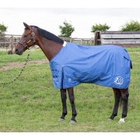 ������ �������� � ������ Harrys Horse AW 2023