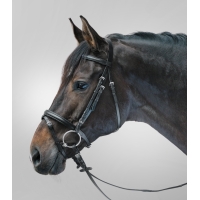 ������� Waldhausen Lifestyle