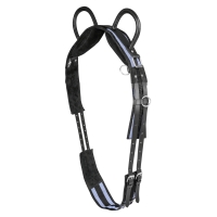 ����� Waldhausen c 2 �������