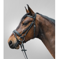 ������� Waldhausen Diamand