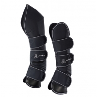 ������� ������������������ Acavallo 900 D ���� 4��