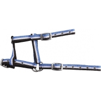 ��������� Norton ��������� � �������