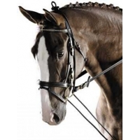 ������ ��������� Harrys Horse