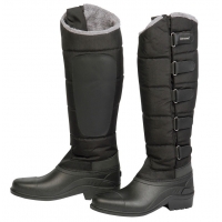 ����������� Nort Star Harrys Horse