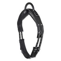 ����� Waldhausen � 1 ������