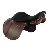 ���� �� ����� Acavallo AC501 ������