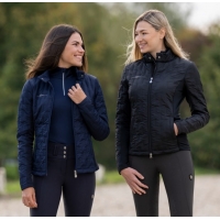 ������ Covalliero Hibrid