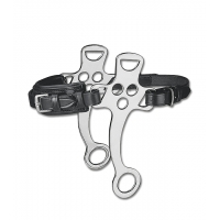 �������� ������ Waldhausen