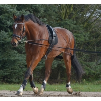 ���� Pessoa Waldhausen