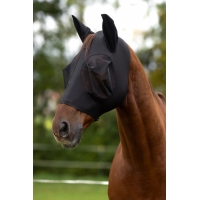 ����� �� ��������� ���������� �� ������, Covalliero