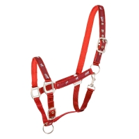 ��������� Waldhausen Horsemotif