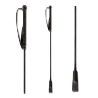 ����� ��������� Waldhausen � ���������