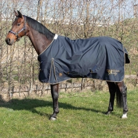 ������ �������� �� ����� Harrys Horse