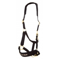 ��������� Back on Track Werano