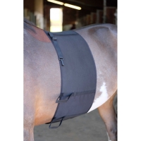 ������ �������� �� ���� Norton