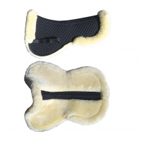 ��������� ��� ����� Harrys Horse