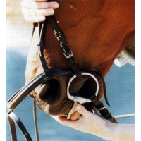 �������� �������