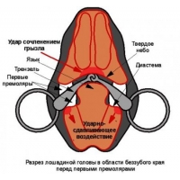 �������� �������