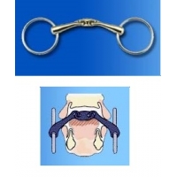 �������� �������