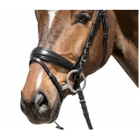 �������� �������