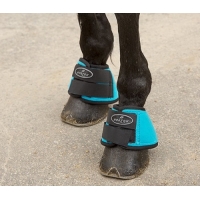 ������ Norton ������� 2��