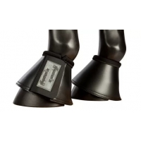 ������ Pfiff ������� 2 ��