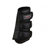 ������� Covalliero Dressage Toronto �������� 2 ��