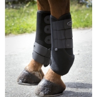 ������� Norton Light ������� ������ ������� 2 ��