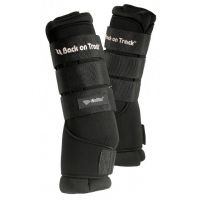 ������� ���������� Back on Track Royal 2 ��