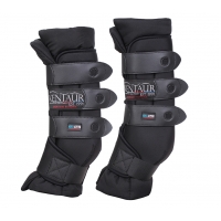 ���������� ������� Kentaur ������ 2 ��