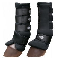 ���������� ������� Harrys Horse �� ������� �������� 2 ��