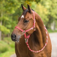 Интернет магазин