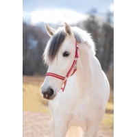 ��������� Covalliero Hippo ���������