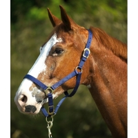 ��������� Norton ������